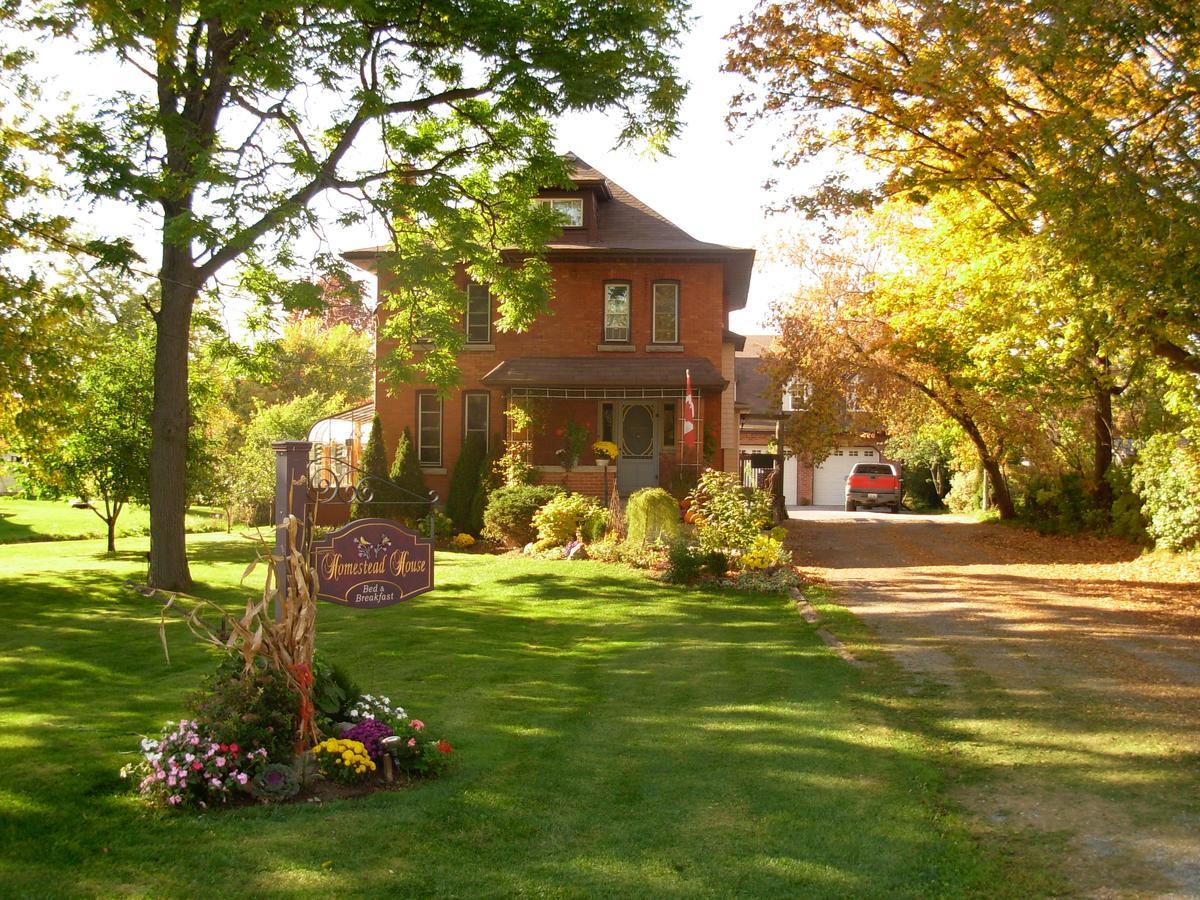Homestead House B&B Гамильтон Экстерьер фото